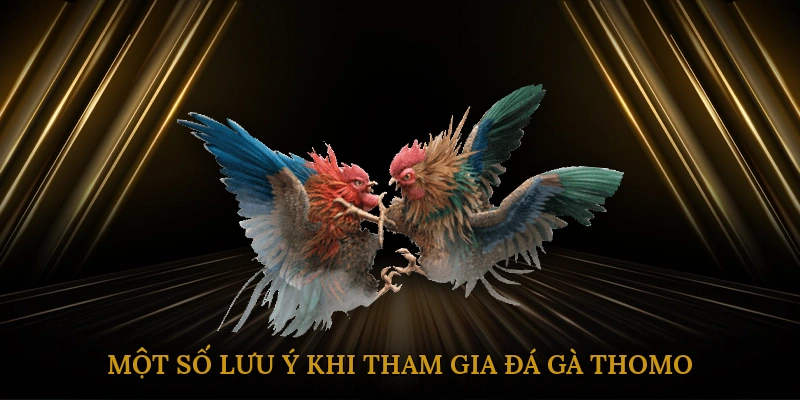 Một số lưu ý khi tham gia đá gà Thomo