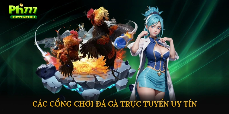 Các Cổng Chơi Đá Gà Trực Tuyến Uy Tín