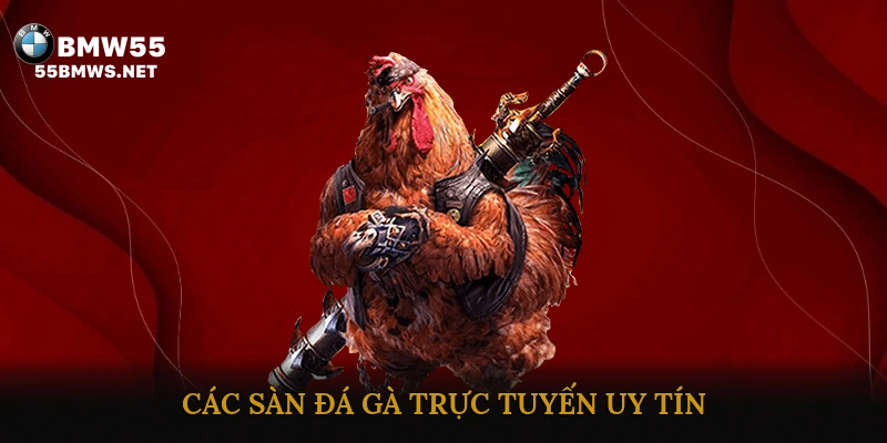 Các Sàn Đá Gà Trực Tuyến Uy Tín