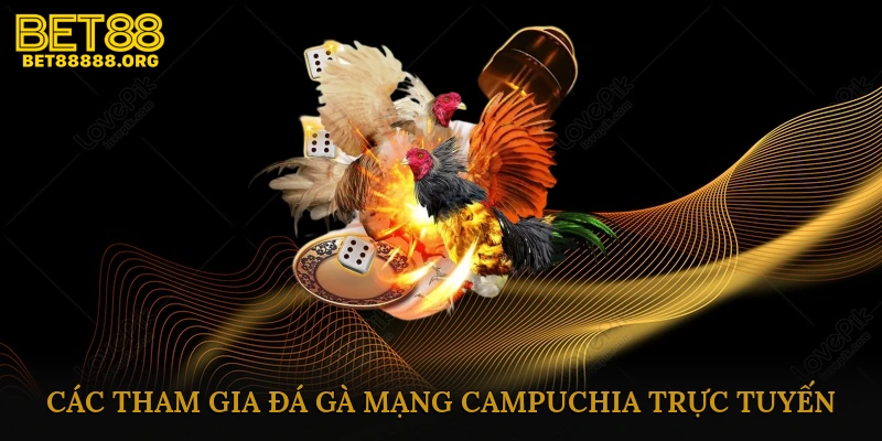 Các Bước Tham Gia Đá Gà Mạng Campuchia Trực Tuyến