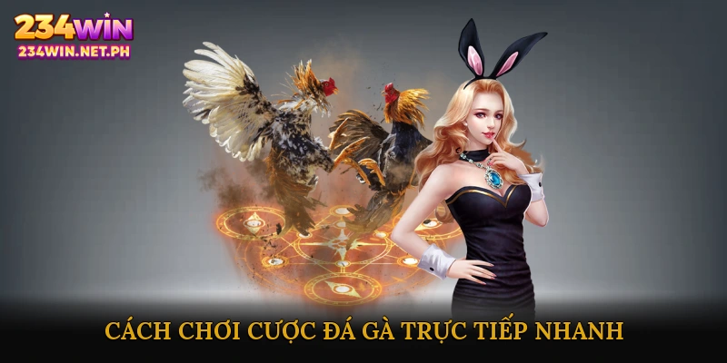 Cách Chơi Cược Đá Gà Trực Tiếp Nhanh