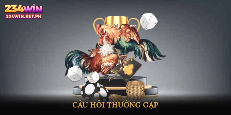 Câu Hỏi Thường Gặp