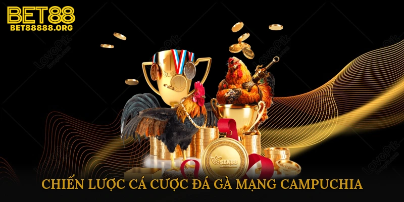 Mẹo Và Chiến Lược Cá Cược Thành Công Trong Đá Gà Mạng Campuchia