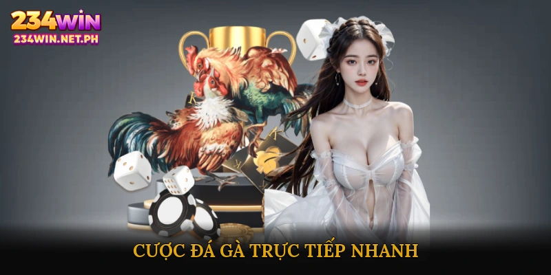 Đá gà trực tiếp nhanh