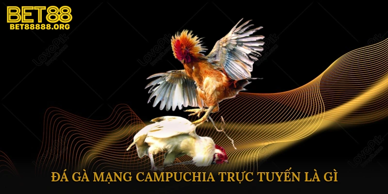 Đá Gà Mạng Campuchia Trực Tuyến Là Gì?