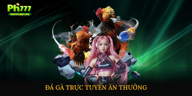 Đá gà trực tuyến ăn thưởng
