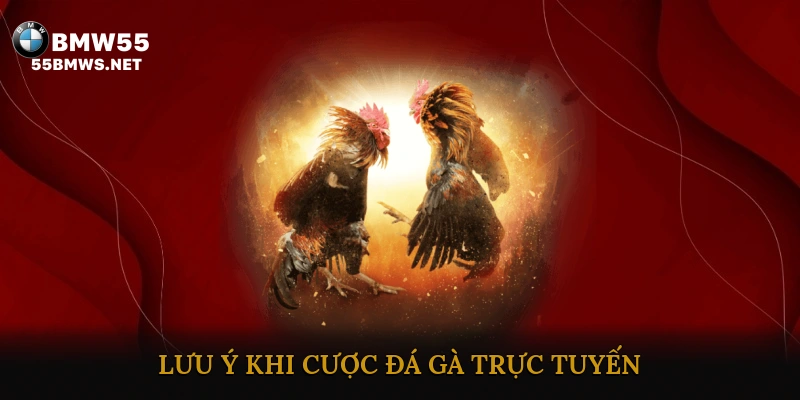 Lưu Ý Khi Cược Đá Gà Trực Tuyến