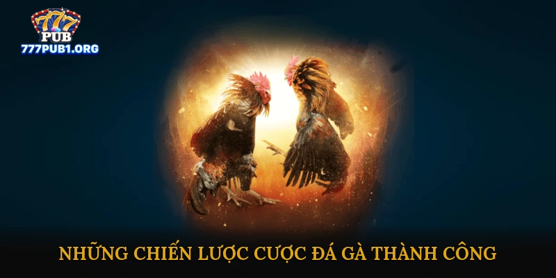 Những Chiến Lược Cược Đá Gà Thành Công