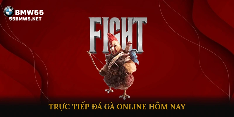 Trực tiếp đá gà online hôm nay