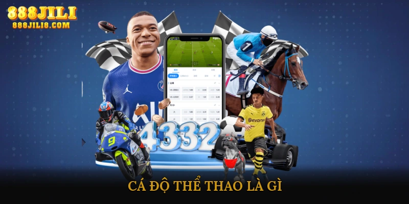 Cá độ thể thao là gì?