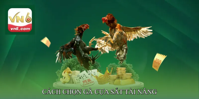Cách chọn gà cựa sắt tài năng