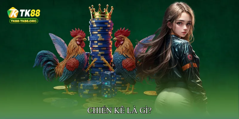Chiến Kê Là Gì?
