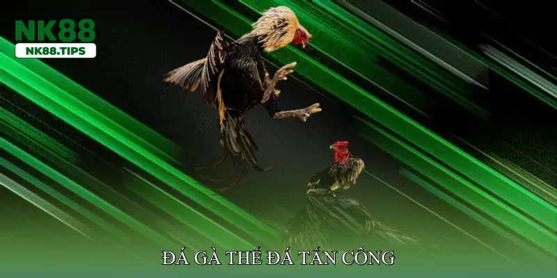 Đá gà thế đá tấn công