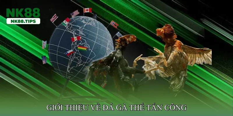 Giới thiệu về đá gà thế tấn công
