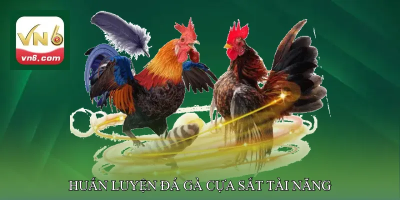 Huấn luyện đá gà cựa sắt tài năng