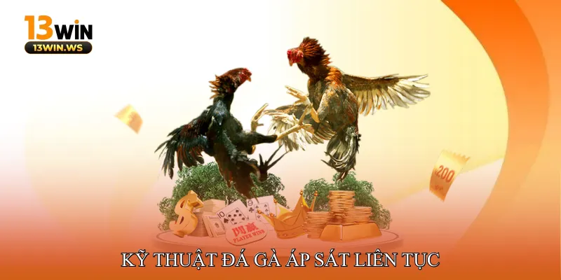 Kỹ thuật đá gà áp sát liên tục