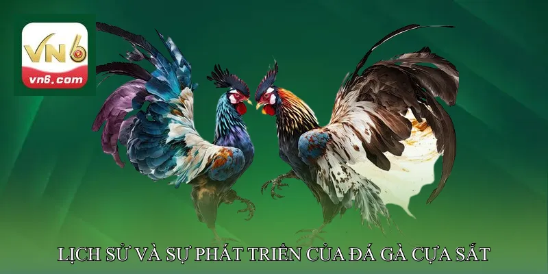 Lịch sử và sự phát triển của đá gà cựa sắt