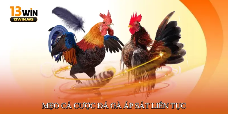 Mẹo cá cược đá gà áp sát liên tục