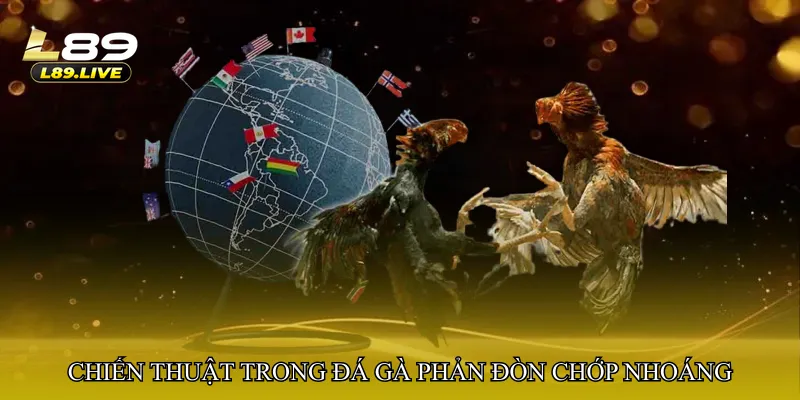 Chiến thuật phổ biến trong Đá gà phản đòn chớp nhoáng