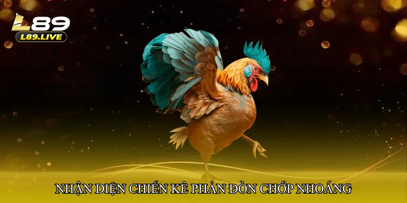 Nhận diện chiến kê phản đòn chớp nhoáng